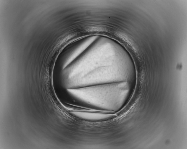 X0000098220825200805081156