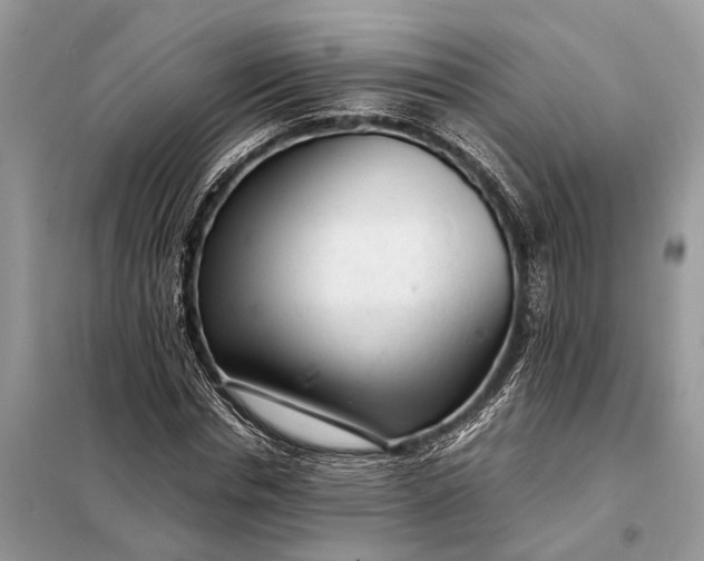 X0000098220826200805081156