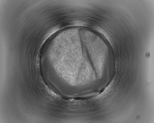 X0000098220827200805081156