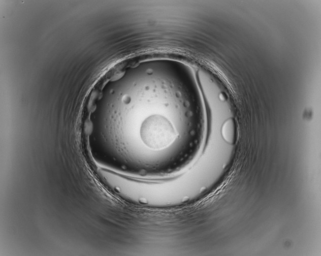 X0000098220828200805081156