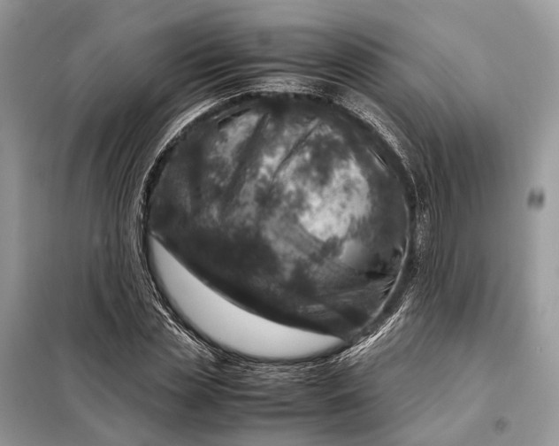 X0000098220829200805081156