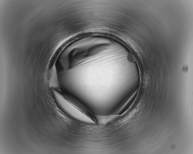 X0000098220830200805081156