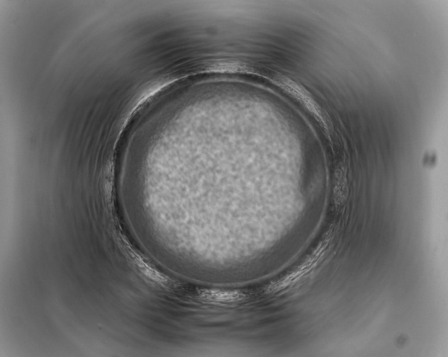 X0000098220831200805081156