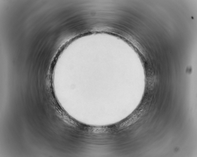 X0000098220832200805081156