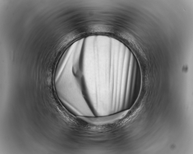 X0000098220833200805081156