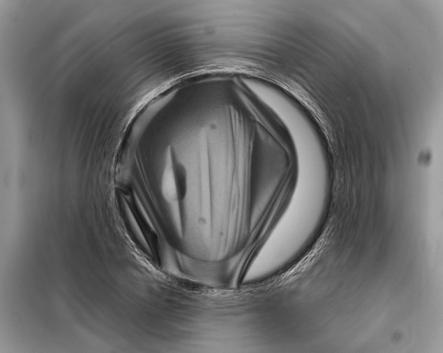 X0000098220834200805081156