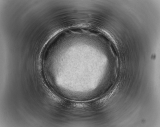 X0000098220835200805081156