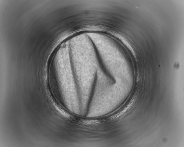 X0000098220837200805081156