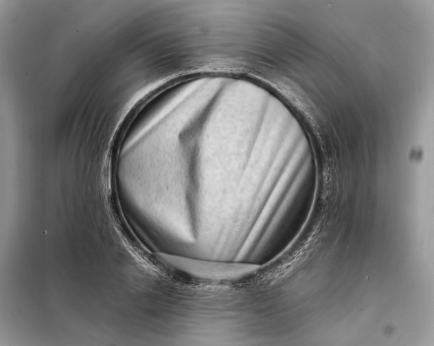 X0000098220838200805081156