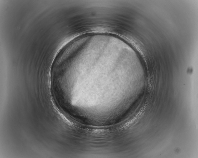 X0000098220839200805081156