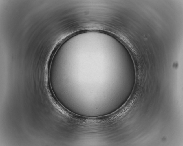 X0000098220840200805081156