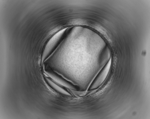 X0000098220841200805081156