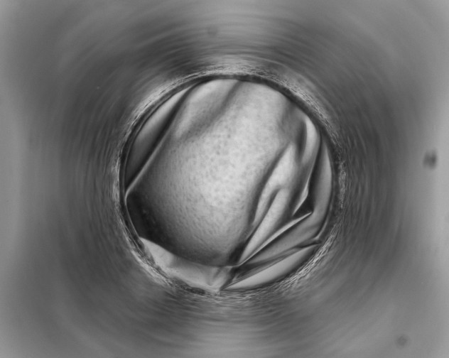 X0000098220842200805081156