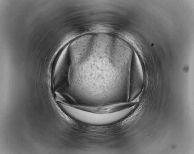 X0000098220843200805081156