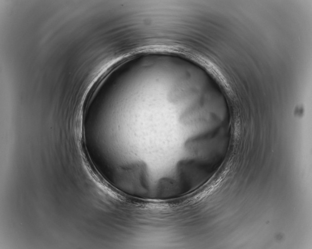 X0000098220844200805081156