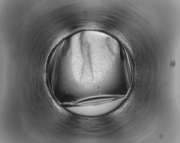 X0000098220845200805081156