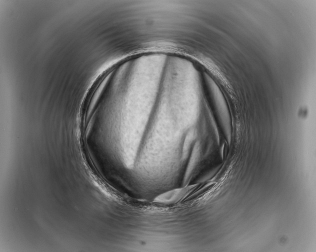 X0000098220846200805081156