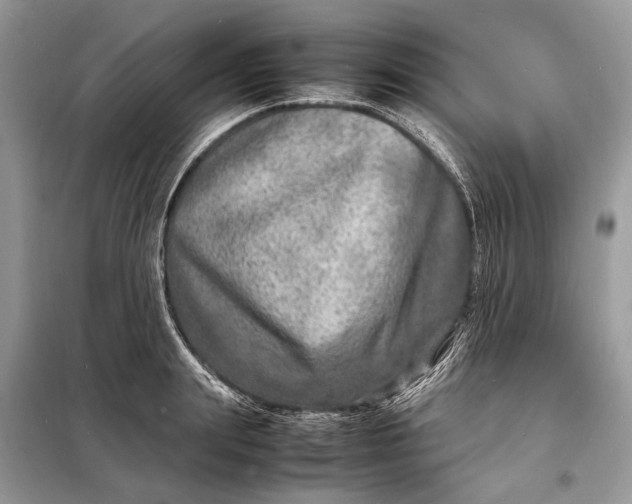 X0000098220847200805081156