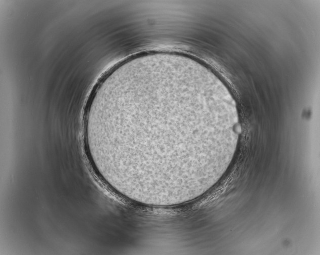 X0000098220848200805081156