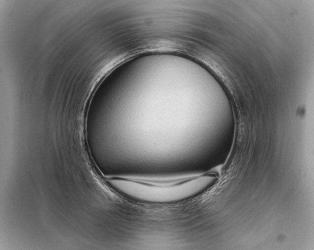 X0000098220850200805081156