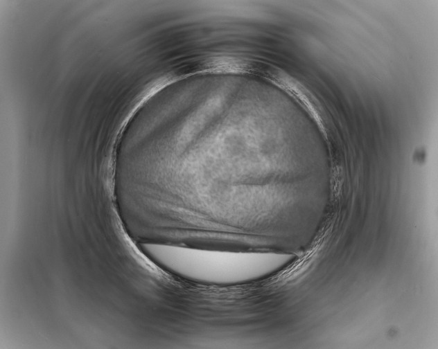 X0000098220851200805081156