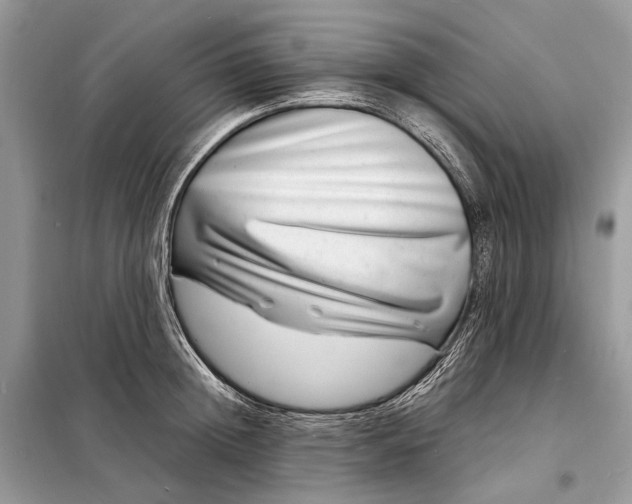 X0000098220852200805081156