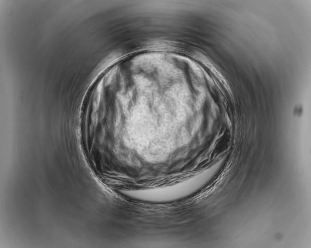 X0000098220853200805081156