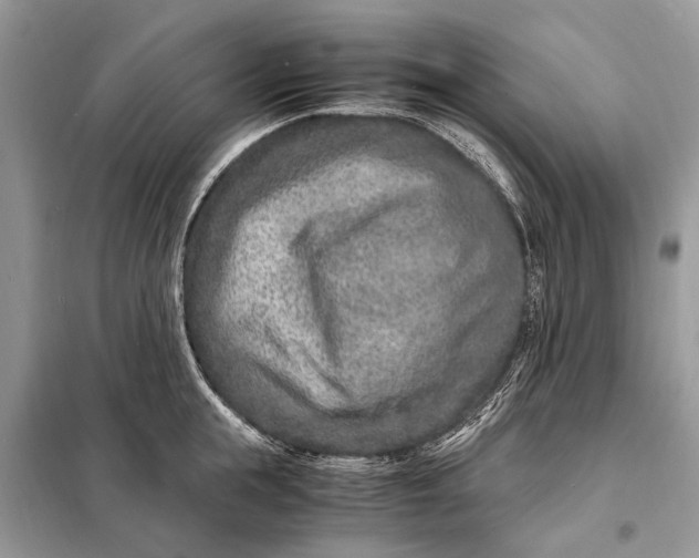 X0000098220855200805081156