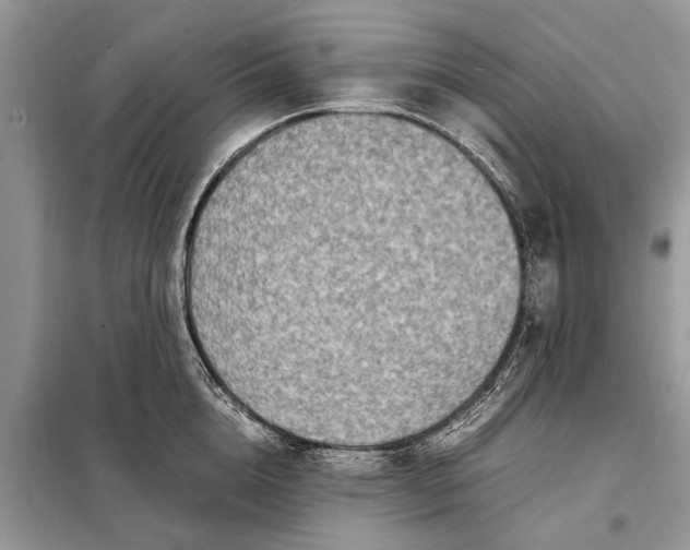 X0000098220856200805081156