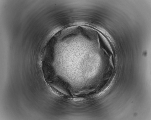 X0000098220857200805081156