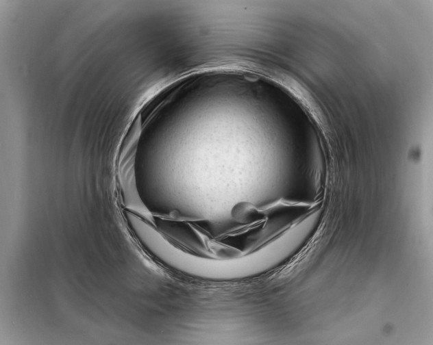 X0000098220858200805081156