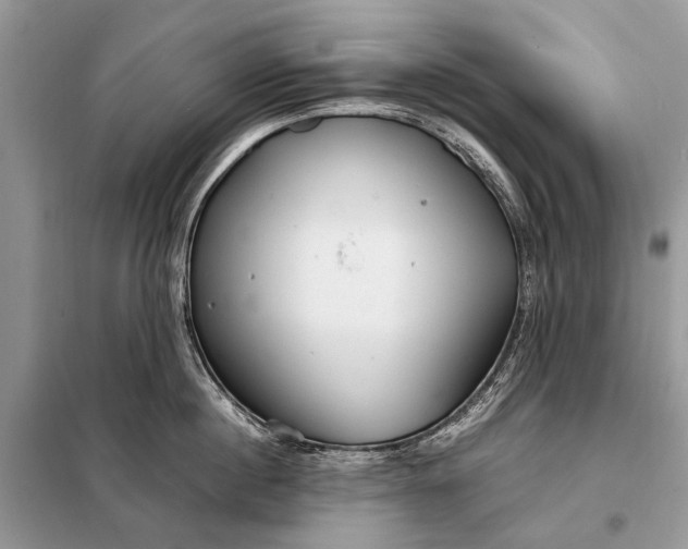 X0000098220860200805081156