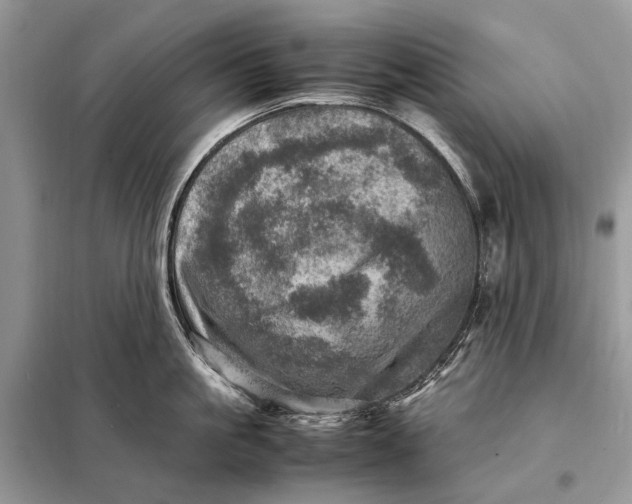 X0000098220861200805081157