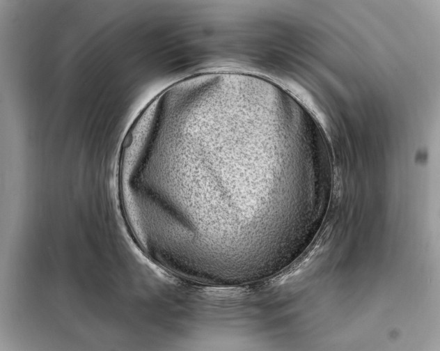 X0000098220863200805081157