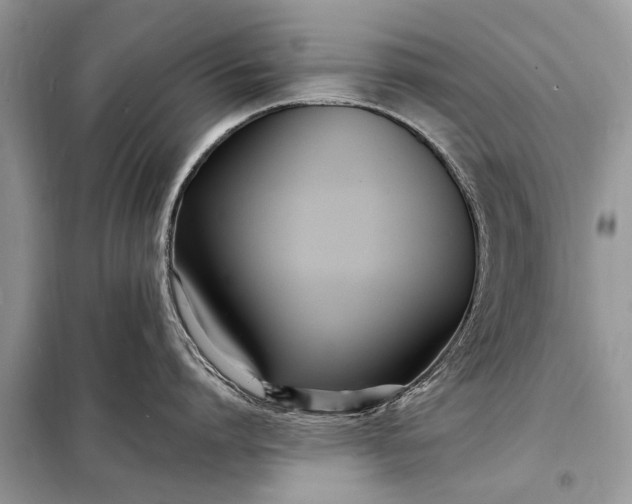 X0000098220864200805081157