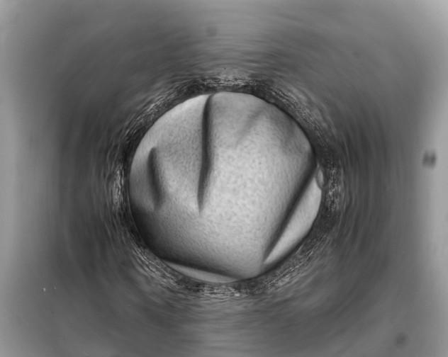 X0000098220866200805081156