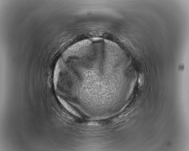 X0000098220867200805081156