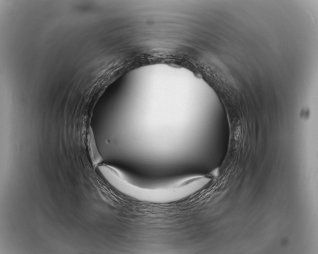 X0000098220868200805081156