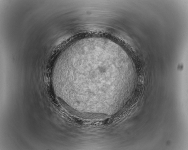 X0000098220869200805081156