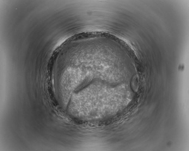 X0000098220871200805081156