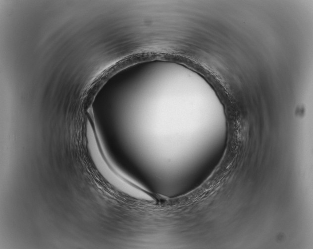 X0000098220872200805081156