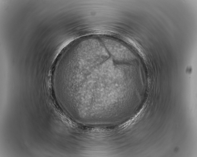 X0000098220875200805081156