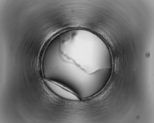 X0000098220876200805081156