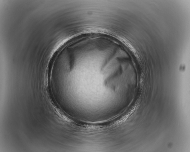 X0000098220877200805081156