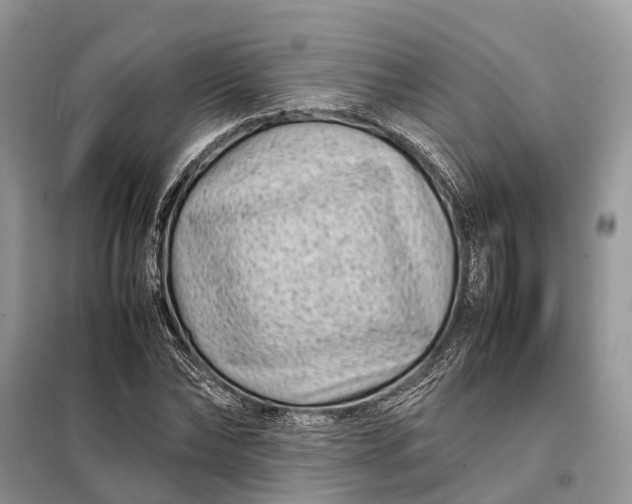 X0000098220878200805081156