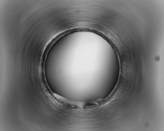 X0000098220880200805081156