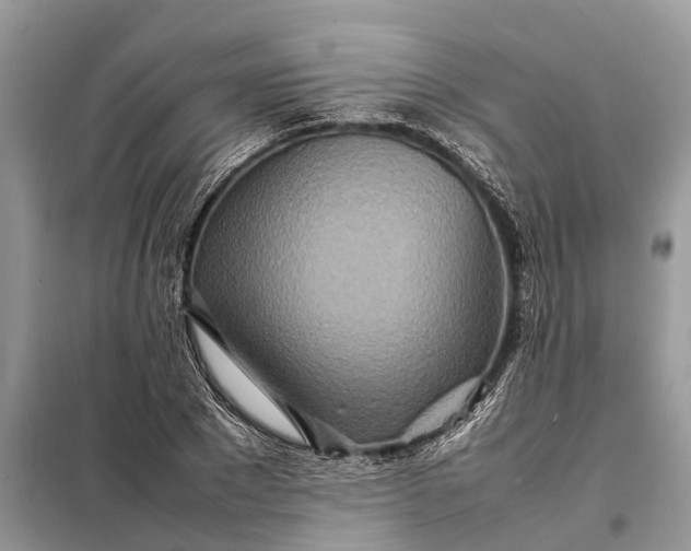 X0000098220881200805081156