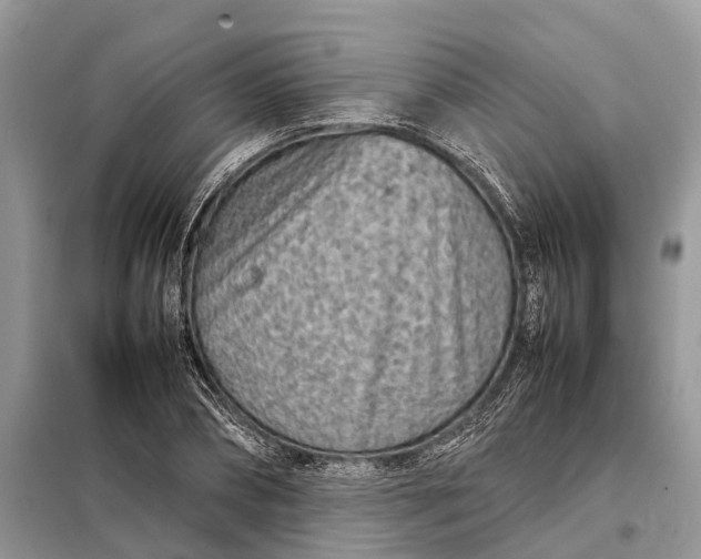 X0000098220882200805081155