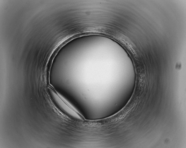 X0000098220884200805081155