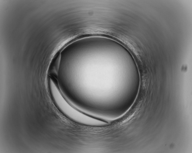 X0000098220885200805081155